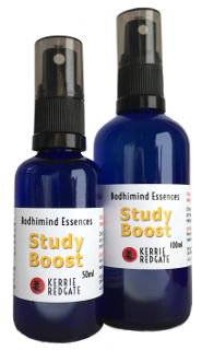 Study Boost formula bottles 50ml and 100ml